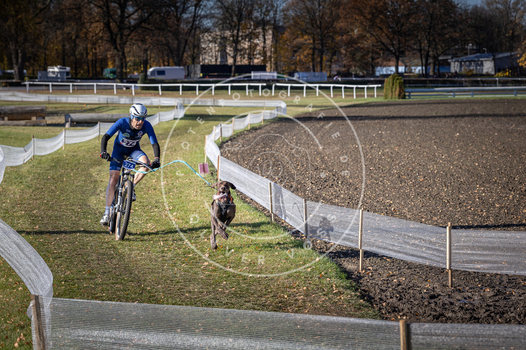 CaniXpix_DV3A5295 | Hundefotografie, Tierfotograf, Pfotenfotografie, Fotoshooting Hund, Hunde Portrait, Hundesport, Hundeportraits, Heideshooting, Hunde, Sportfotograf, Hundefotograf, Turnierhundsport, THS,  - Realisiert mit Pictrs.com