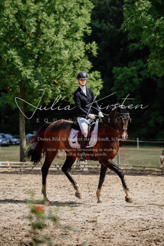 DSC_0818 | Pferde- und Turnierfotografie in Westsachsen. Pferdeportraits, Auftragszeichnungen und intuitive Kunst.