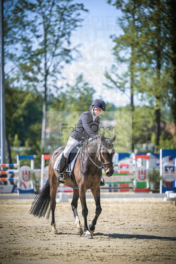 DOS_0599 | Entdecke hochwertige Reitturnierfotos von Foto Oger. Professionell, emotional und authentisch – jetzt Lieblingsmomente im Shop bestellen.Deutschlandweite Turnierfotografie. - Realisiert mit Pictrs.com