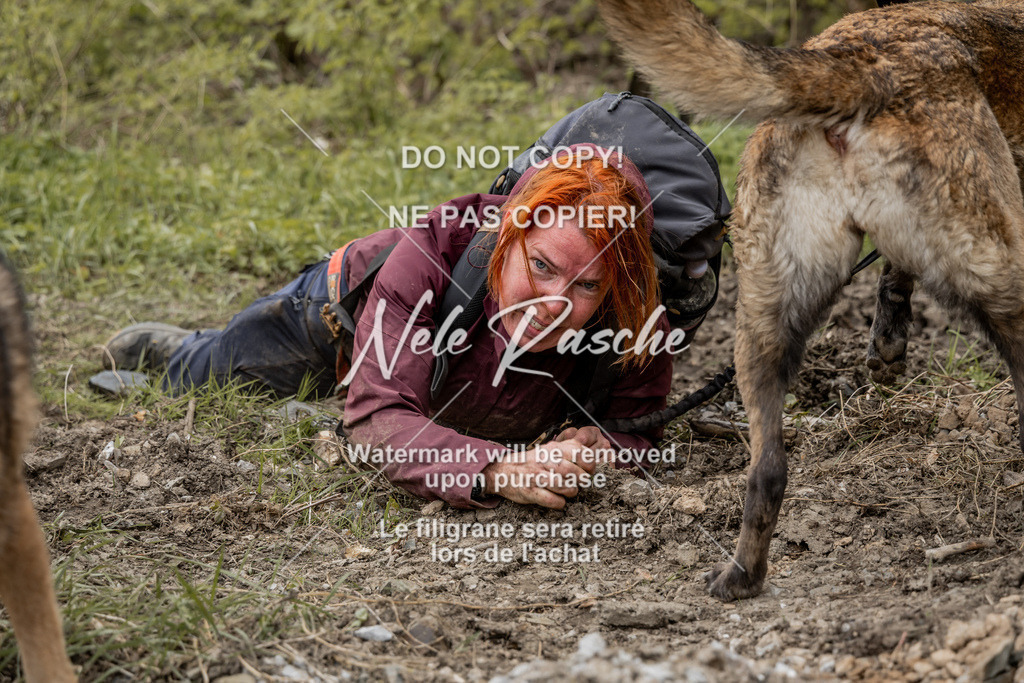 NR__2879 | nelerasche