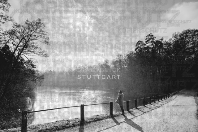 _DSC0880 | "Entdecken Sie atemberaubende Bilder von Stuttgart im Fotowerk Stuttgart! Kaufen Sie hochwertige Fotos auf Leinwand oder laden Sie digitale Downloads für Ihre Wohnung oder Büros herunter.  - Realisiert mit Pictrs.com