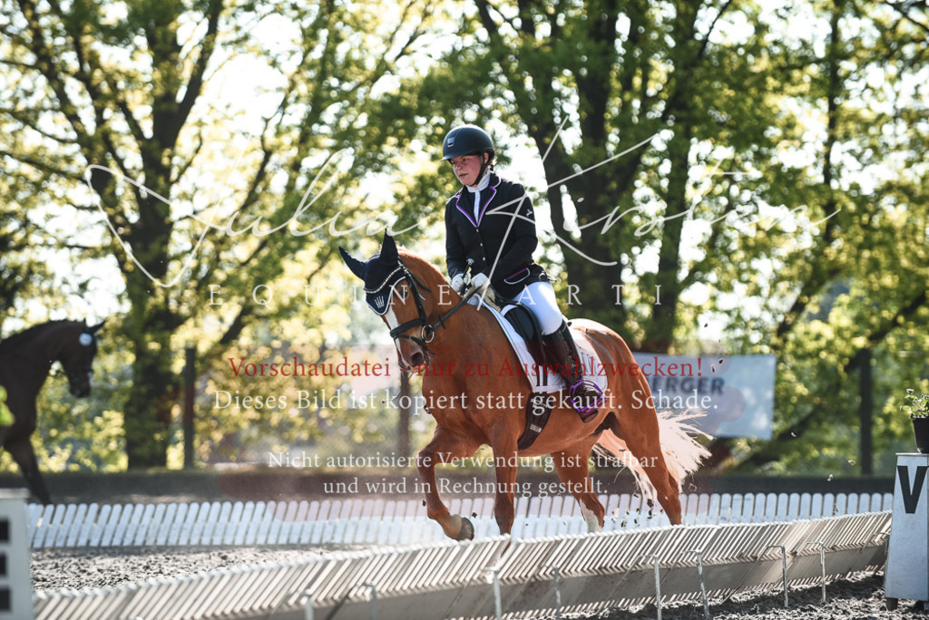 DSC_8443 | Pferde- und Turnierfotografie in Westsachsen. Pferdeportraits, Auftragszeichnungen und intuitive Kunst.