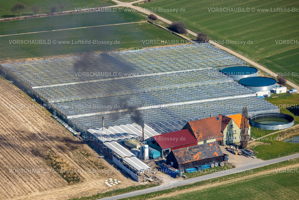Werl220301188 | Luftbild, Landwirtschaftlicher Betrieb Gartenbau Stemann, Werl, Soester Börde, Nordrhein-Westfalen, Deutschland