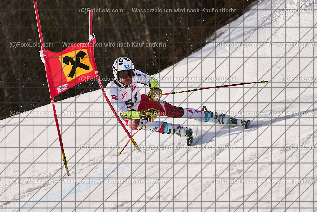 ALP8813_Herrn-FIS-GS-II_Lackenhof-WY_KROELL David | Internationaler FIS GiantSlalom der Herrn auf der Distelpiste in Lackenhof am Di 11. März 2025.  Österreich, LSV-NÖ, Sportunion Waidhofen/Ybbs (2035).