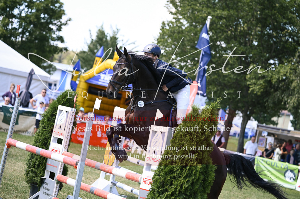 DSC_0159 | Pferde- und Turnierfotografie in Westsachsen. Pferdeportraits, Auftragszeichnungen und intuitive Kunst.
