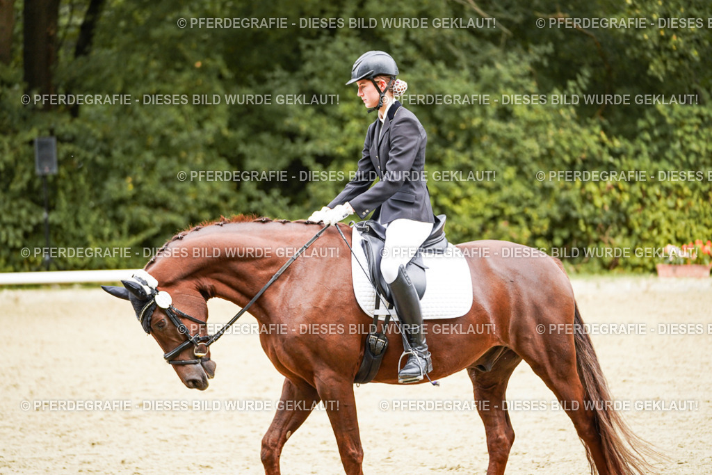 DSC00532 | Pferdegrafie