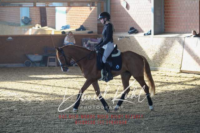 DKP42148 | Turniersportfotografie; Pferdefotografie; Dressurfotografie