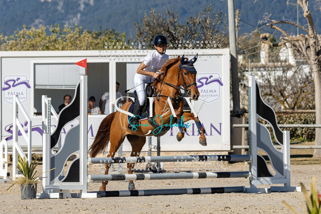 IMG_8531 | s-jay-photography - Realisiert mit Pictrs.com