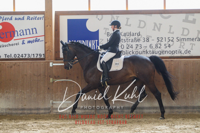 DKP44762 | Deine Turnierfotos vom Reitturnier online kaufen: Dressur, Springen & Siegerehrung. Professionelle Pferdefotografie aus dem Rheinland – als Download & Print.Alternative: Turnierfotograf für den Pferdesport: Finde deine Fotos von Dressur- und Springturnier