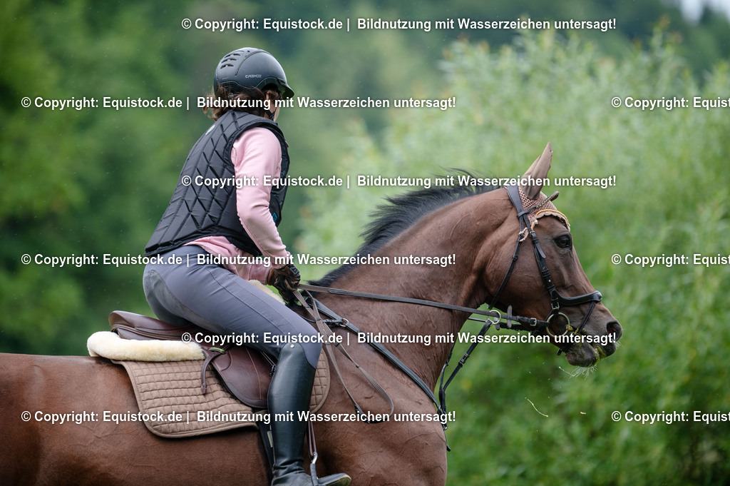 20250725_Vielseitigkeitslehrgang-Marbach_0378 | Foto: Thomas Hartig