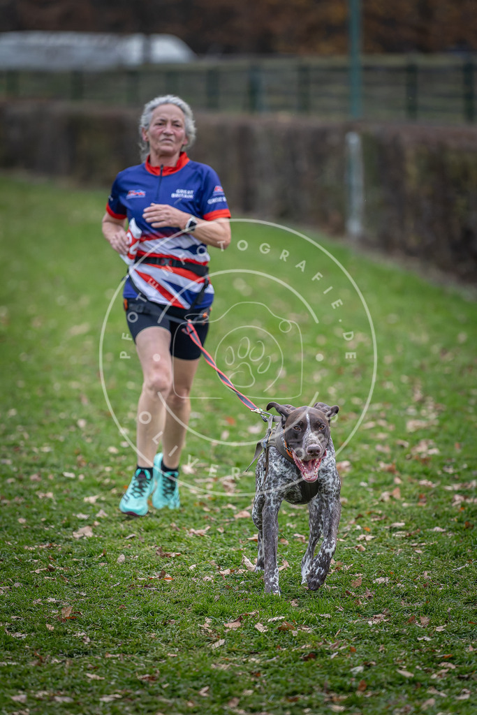 CaniXpix_DV3A7335 | Hundefotografie, Tierfotograf, Pfotenfotografie, Fotoshooting Hund, Hunde Portrait, Hundesport, Hundeportraits, Heideshooting, Hunde, Sportfotograf, Hundefotograf, Turnierhundsport, THS,  - Realisiert mit Pictrs.com