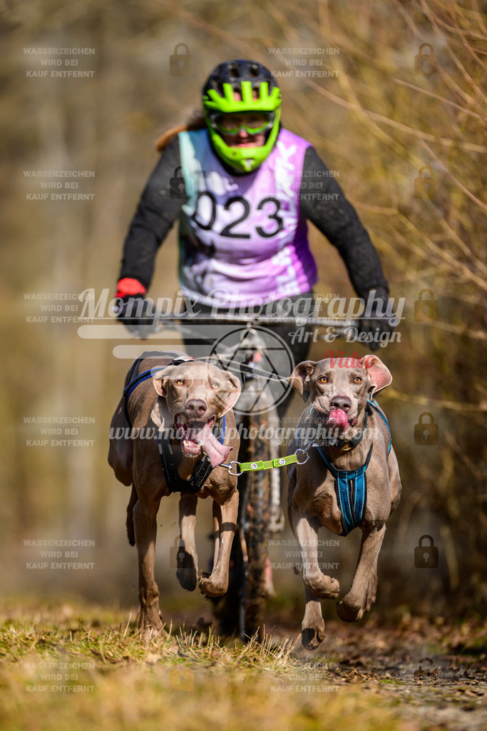 MompixPhotography_Schwabentrail2025_SO_DS2-47 | PayLife