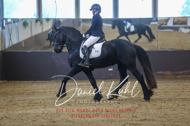 IMG_7904 | Turniersportfotografie; Pferdefotografie; Dressurfotografie