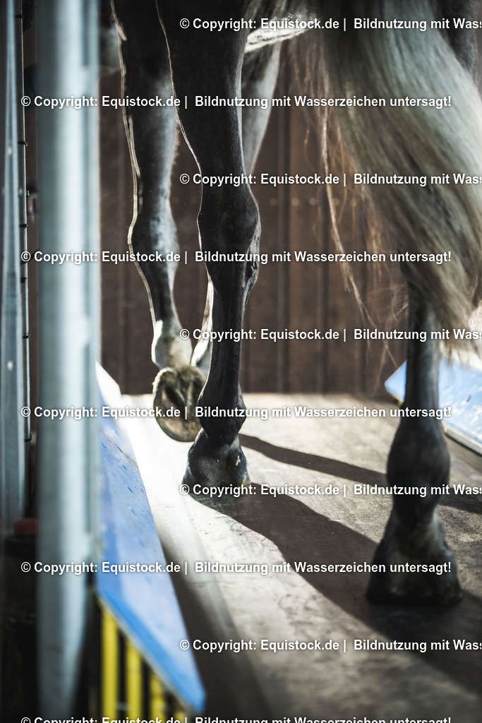 20200118_Laufband_0038 | Foto: Thomas Hartig