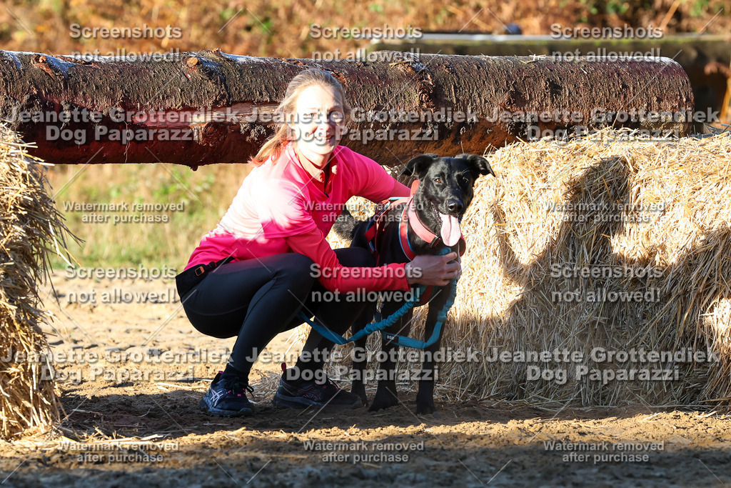 Dog Paparazzi - Strongdog 10-25-867 | Dog Paparazzi Jeanette Grottendiek Fotografie & Videografie - Realisiert mit Pictrs.com