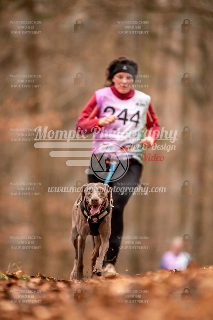 AKM_ST_2023_Son_Run-125 | PayLife