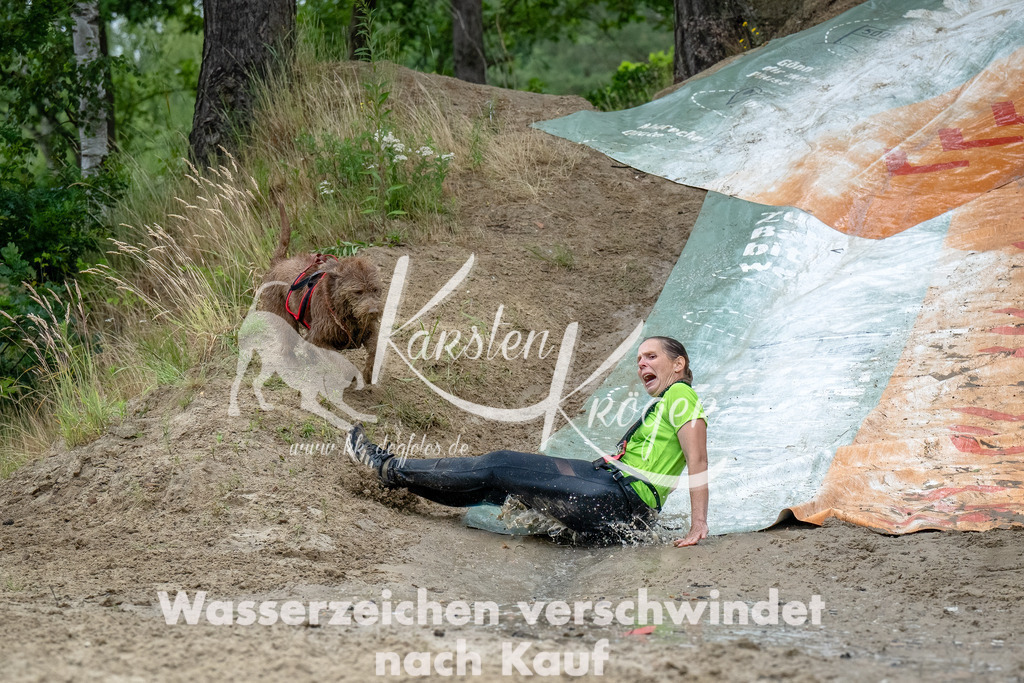 1213_ZZ91272-Bearbeitet-2 | kk-dogfotos