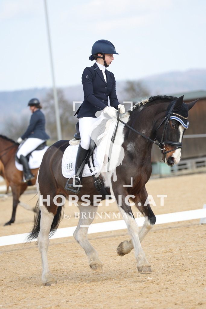 0P6A6353 | Willkommen bei Brunnmayr - Design & Fotografie – Ihrem Spezialisten für Reitturniere und Pferdeveranstaltungen in Oberösterreich, Salzburg und Bayern! Seit über 17 Jahren sind wir leidenschaftlich dabei.