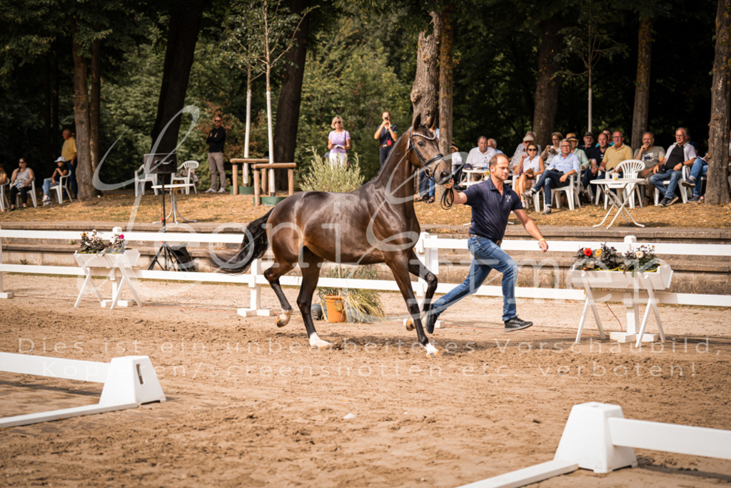 6.Fr00070 | Leoni Ertmer Photography - Realisiert mit Pictrs.com