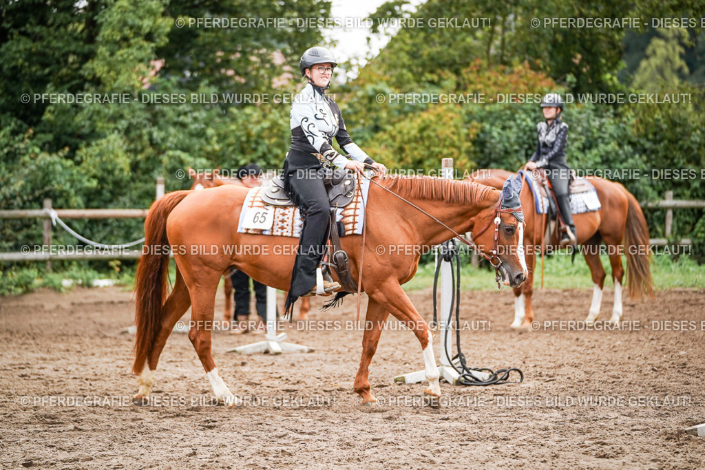 DSC04215 | Pferdegrafie