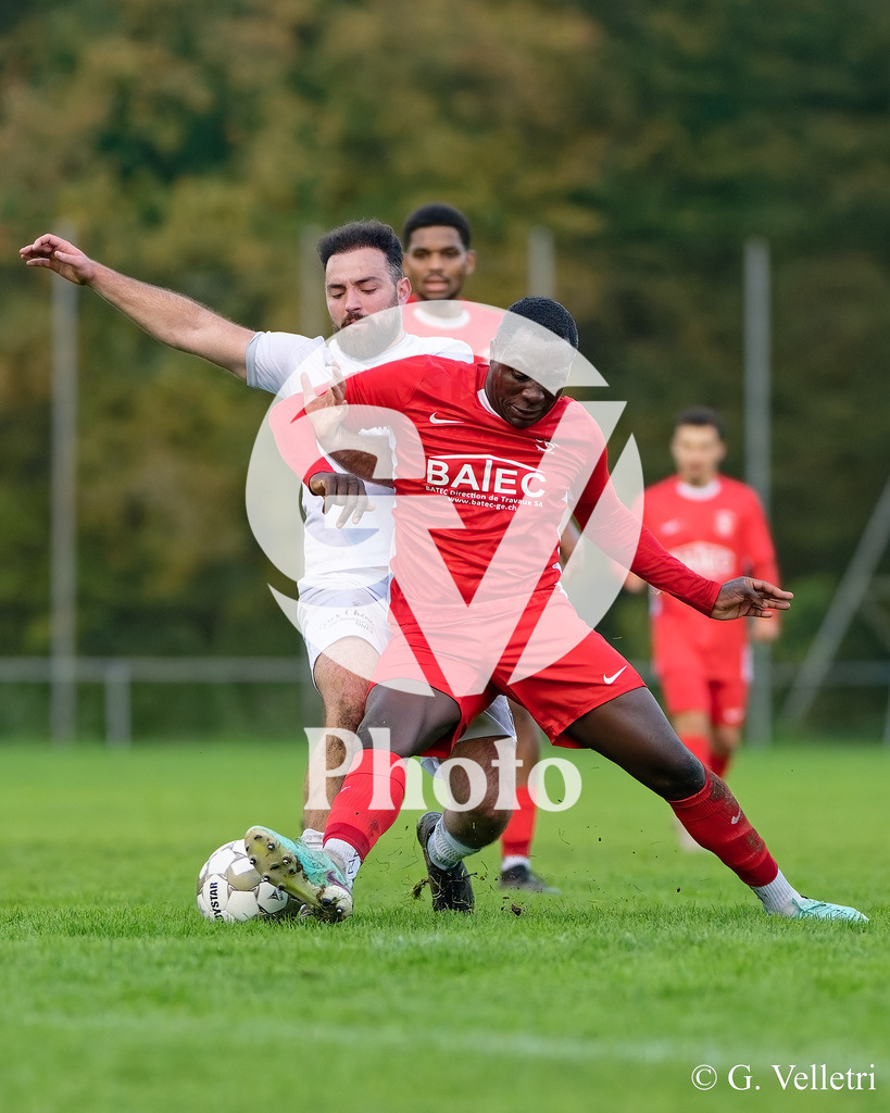 DZ8_9555 | Velletri Photo