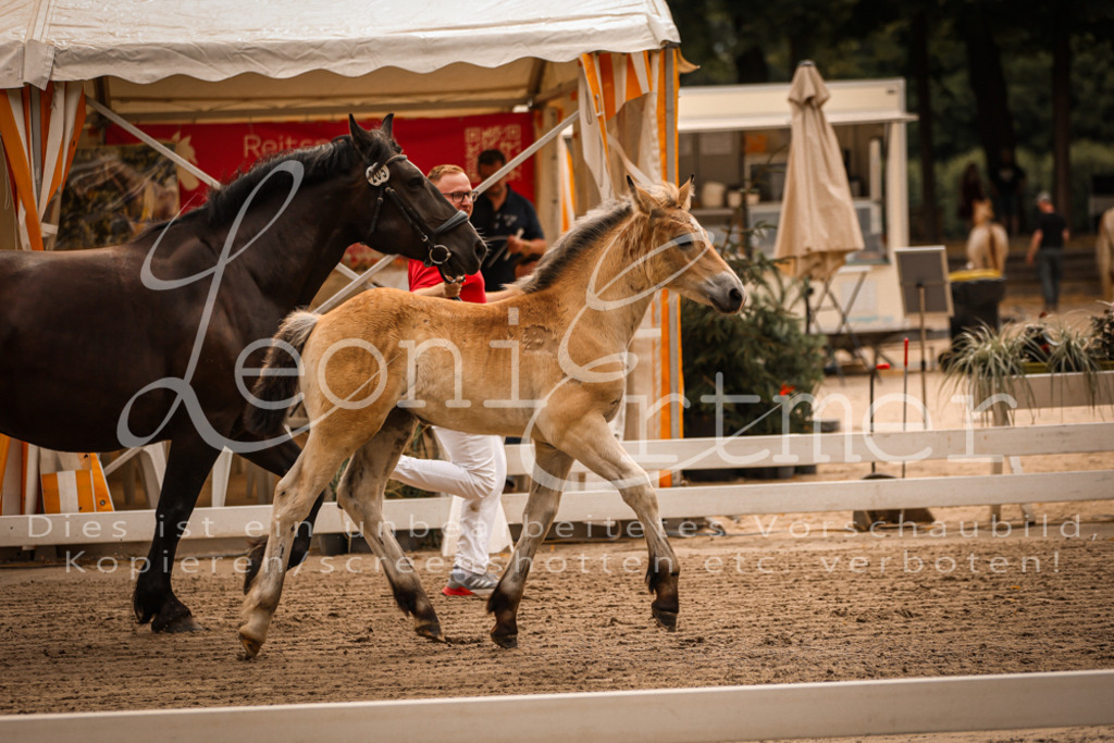 SaSF00042 | Leoni Ertmer Photography - Realisiert mit Pictrs.com