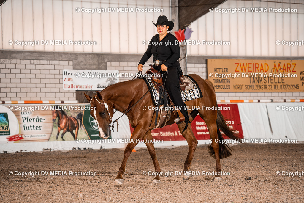 ZH100102 | dv-media-shop - Realisiert mit Pictrs.com