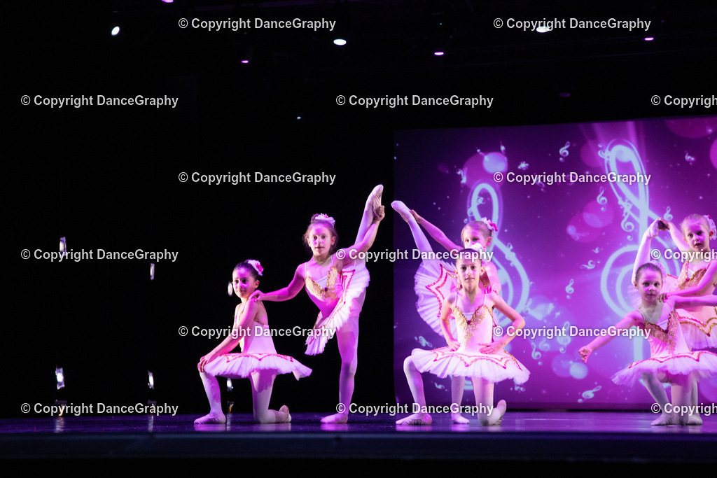 GPHY6129 | DanceGraphy - Realisiert mit Pictrs.com