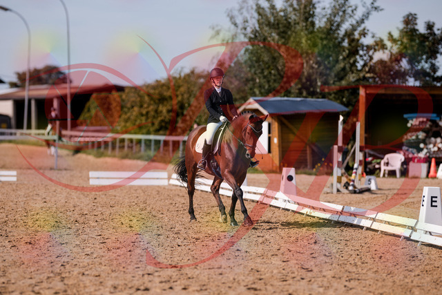 2026_10_03_Siefer-Hof_130740_Z81_58537994 | Professionelle Reitsport-, Turnier- und Eventfotografie von Robert Broda. Galerien mit ausgewählten und bearbeiteten Bildern direkt online ansehen und bestellen.