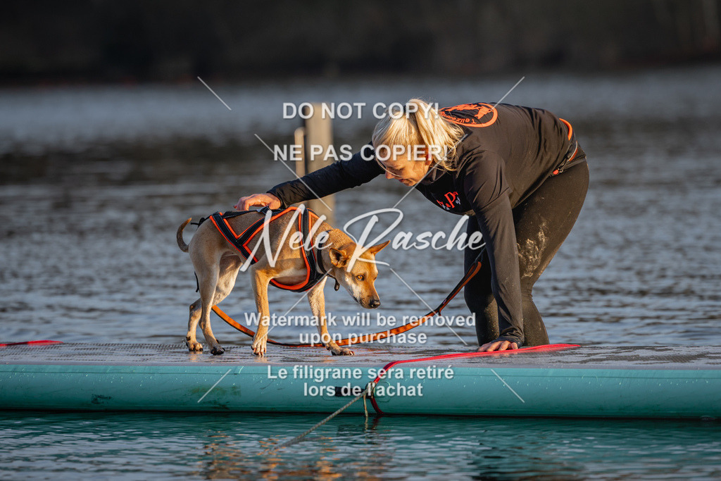 nelerasche_Hulsbeek_Sa1730-Ende_236 | nelerasche