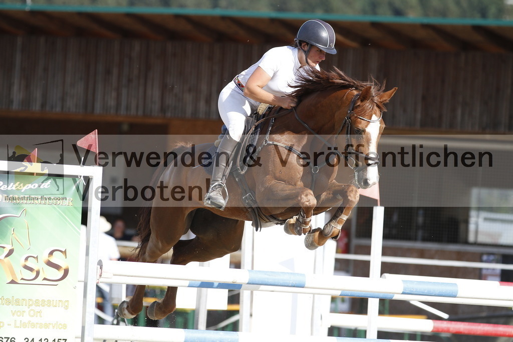 _MG_5527 | equestrian-live-com