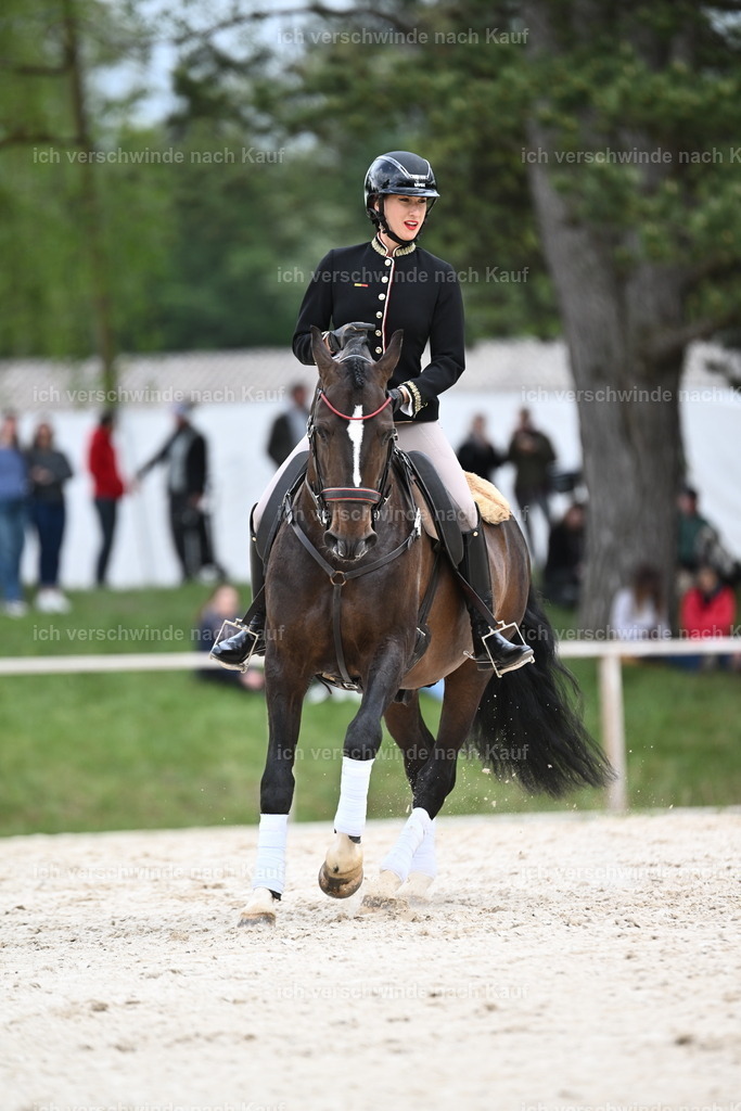 PI26_ST_Sara_Landvogt226_4103.JPG | working equitationturnier fotograf videograf stoibphotography marixx film working equitation deutschland reitsport turnierfotografie eventfotografie equestrian events