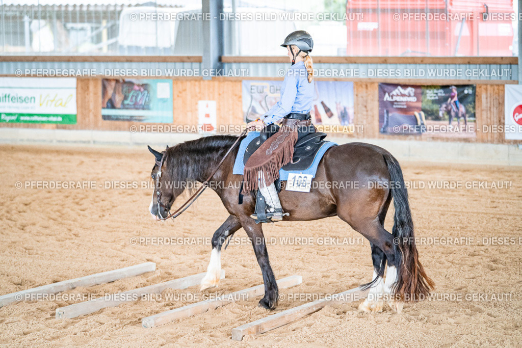 DSC09716 | Pferdegrafie