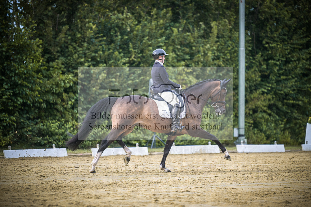 DOS_0262 | Entdecke hochwertige Reitturnierfotos von Foto Oger. Professionell, emotional und authentisch – jetzt Lieblingsmomente im Shop bestellen.Deutschlandweite Turnierfotografie. - Realisiert mit Pictrs.com