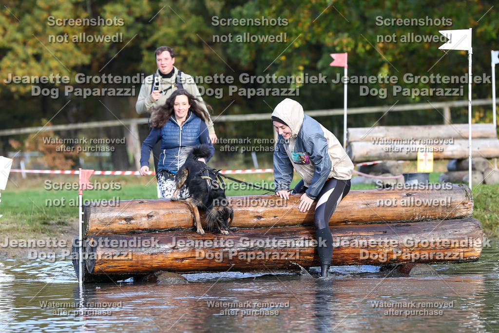 Dog Paparazzi - Strongdog 10-25-8315 | Dog Paparazzi Jeanette Grottendiek Fotografie & Videografie - Realisiert mit Pictrs.com