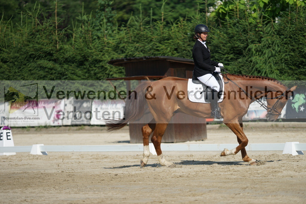 DSC01366 | equestrian-live-com