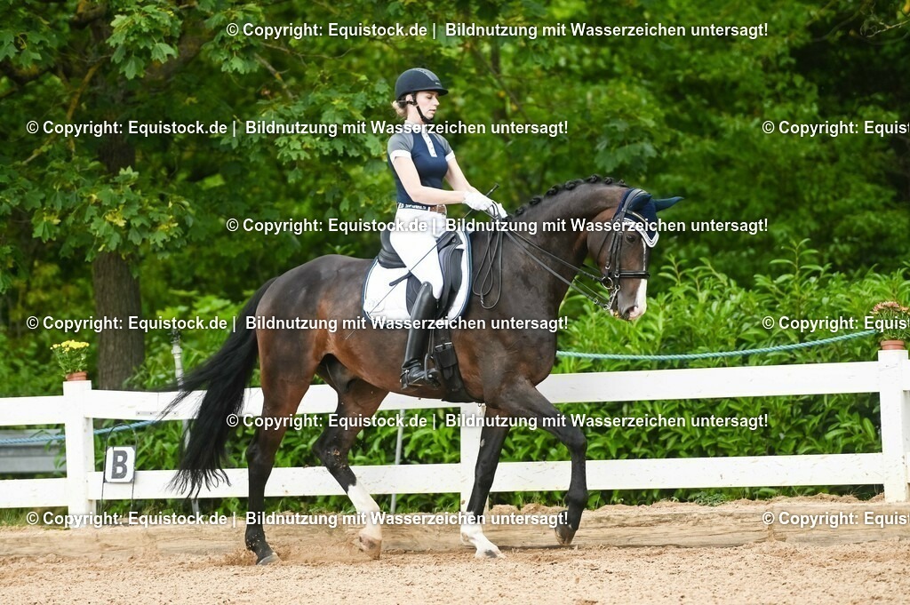 20230716_01_Dressurprüfung Kl.M_0481 | equistock