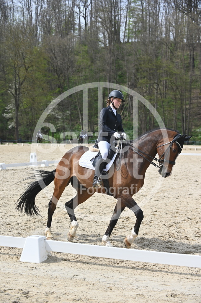 DSC_4135 | sattelsport - Realisiert mit Pictrs.com