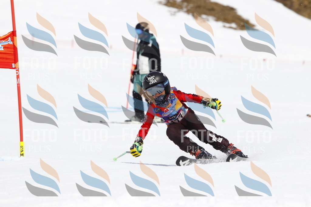 _U3G4662 | holidayphoto