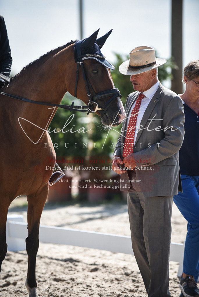 DSC_8750 | Pferde- und Turnierfotografie in Westsachsen. Pferdeportraits, Auftragszeichnungen und intuitive Kunst.