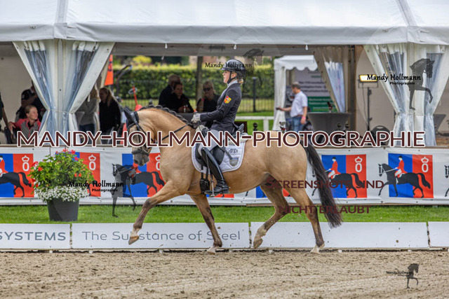 24.7.25 D1 33 (429 von 544) | mandyhollmannphotographie