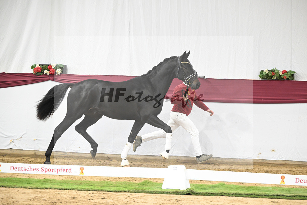 Kat-Nr. 23 Va Pensiero x De Niro_Christiane Schindele_47250714 | hf-fotografie - Realisiert mit Pictrs.com