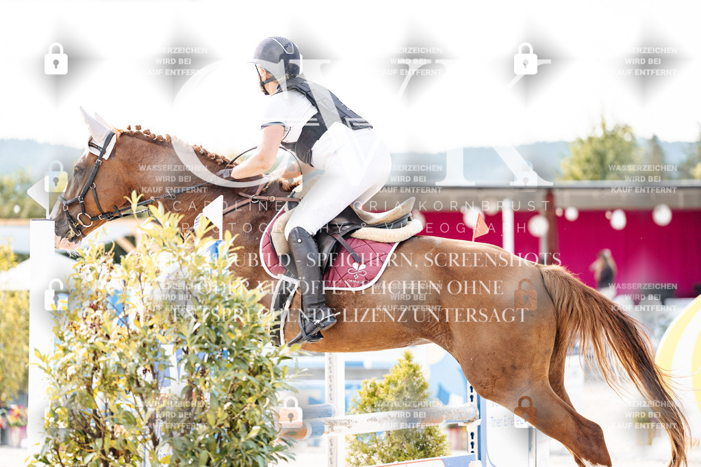 CK906695 | Turnierfotografie Pferdefotografie Trier Rheinland-Pfalz Pferdesport Reitsport Tierfotografie Sportfotografie Pferdevideo Pferdevideografie Equestrianvideography equestrianphotography  - Realisiert mit Pictrs.com
