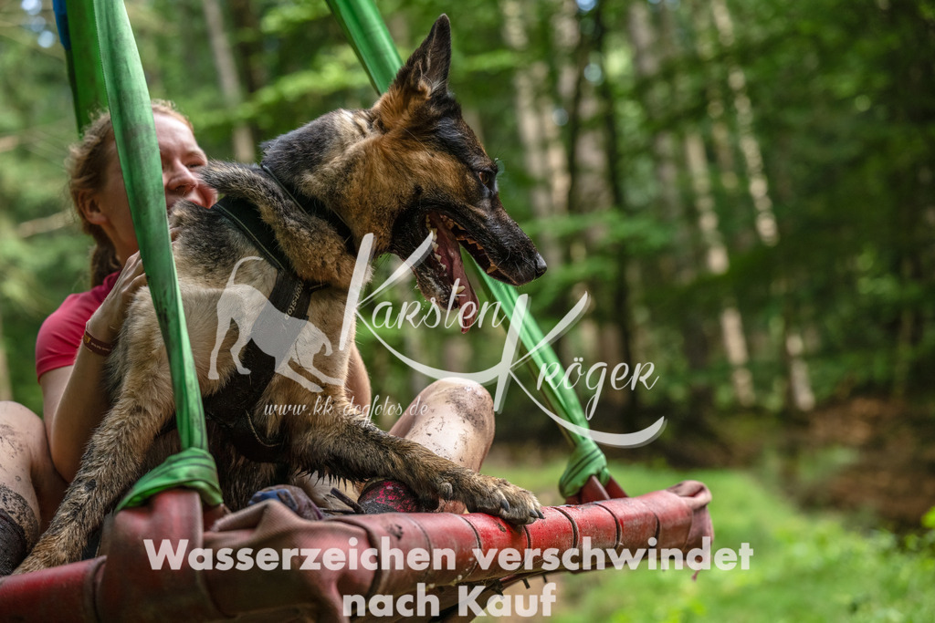 1106_ZZ94112-Bearbeitet | kk-dogfotos