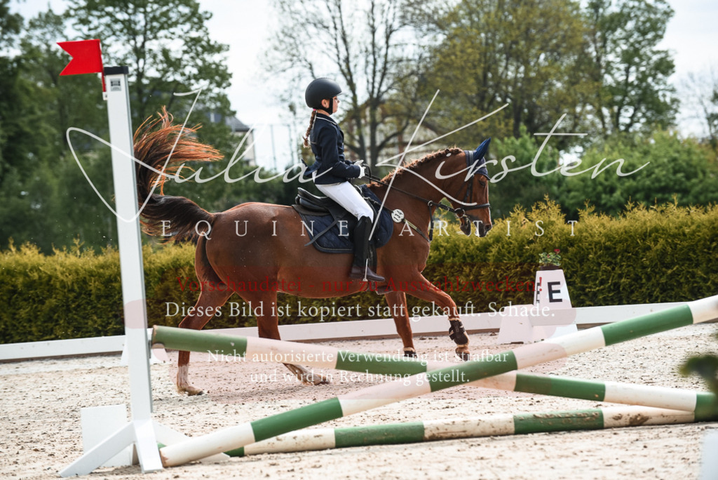 20230518_JK-Röhrsdorf-10-022 | Pferde- und Turnierfotografie in Westsachsen. Pferdeportraits, Auftragszeichnungen und intuitive Kunst.