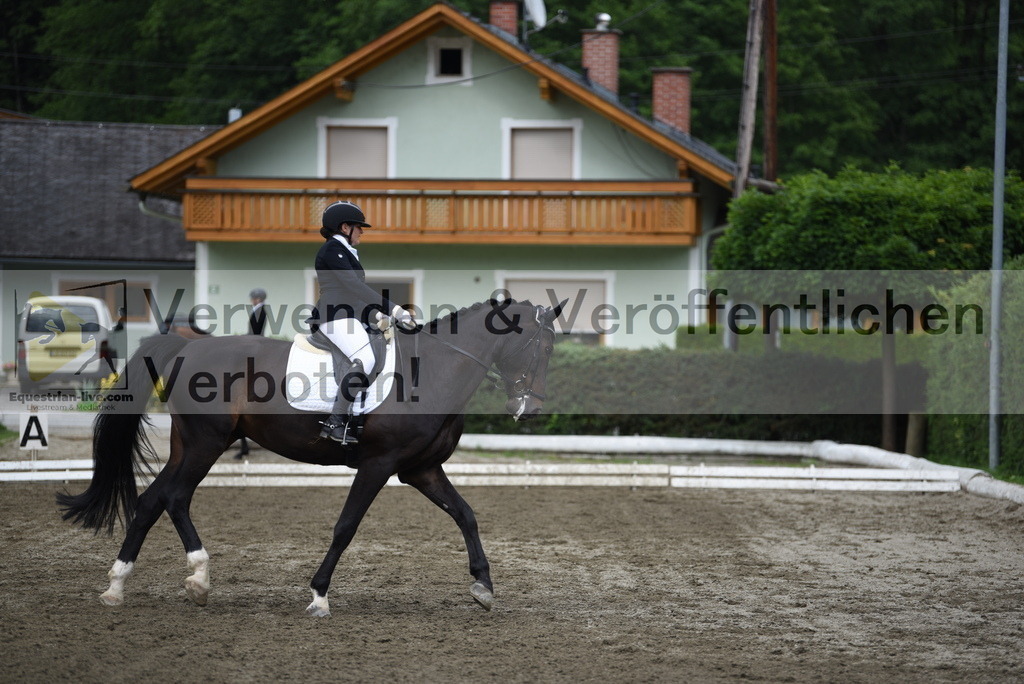 DSC_4620 | equestrian-live-com