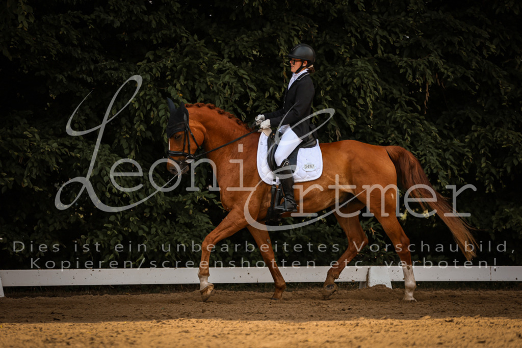 09.FrDrA200111 | Leoni Ertmer Photography - Realisiert mit Pictrs.com