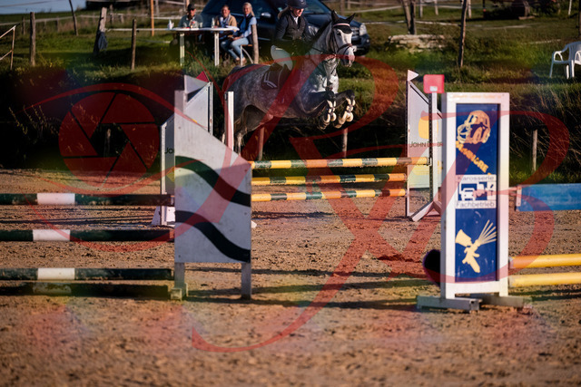 2026_10_03_Siefer-Hof_171356_Z81_10918230 | Professionelle Reitsport-, Turnier- und Eventfotografie von Robert Broda. Galerien mit ausgewählten und bearbeiteten Bildern direkt online ansehen und bestellen.