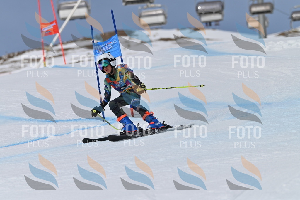 BGV_5941 | holidayphoto