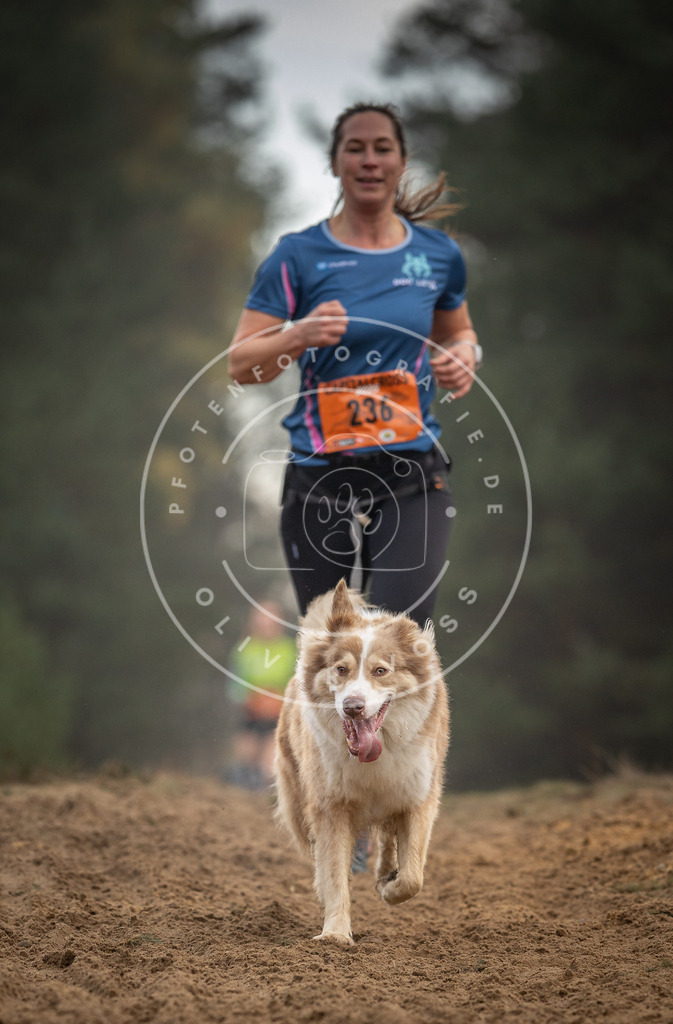 Pfotenfotografie_DV3A5587 | Hundefotografie, Tierfotograf, Pfotenfotografie, Fotoshooting Hund, Hunde Portrait, Hundesport, Hundeportraits, Heideshooting, Hunde, Sportfotograf, Hundefotograf, Turnierhundsport, THS,  - Realisiert mit Pictrs.com